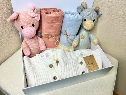 Twins Baby Gift Set/ Newborn Baby Gift Set/